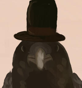 Birds (Corvids) - I love EVERY BIRD!!! but i love corvids the most. They're so funky and cute. My dream birder list is to see a Rock ptarmigan, American woodcock, and a Harpy eagle!